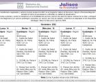 Brigadas de servicios Jalisco te Reconoce del 14 al 18 de Noviembre